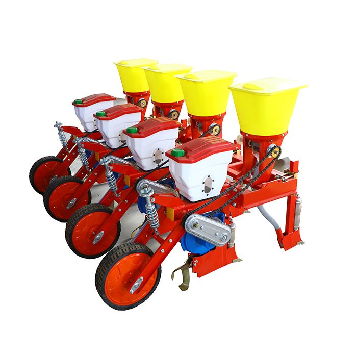 Majs planter